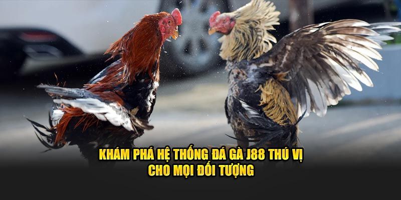 Ưu điểm của chuyên mục chọi kê J88